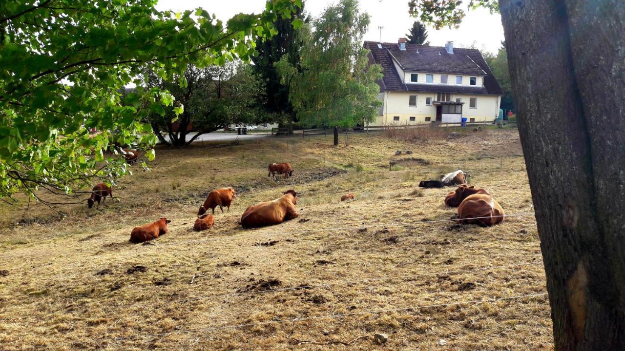 Garni Am Hochwald Hotel *